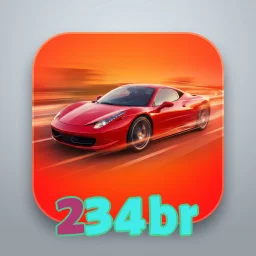 234br